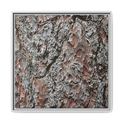 Bark Texture Symphony - Unique Stretched Canvas Wall Art