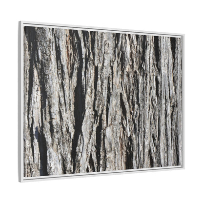 Nature's Abstract - Unique Stretched Canvas Wall Art