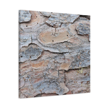 Textural Geology - Unique Frameless Canvas Wall Art