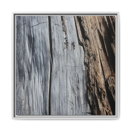 Wood's Lament - Unique Stretched Canvas Wall Art