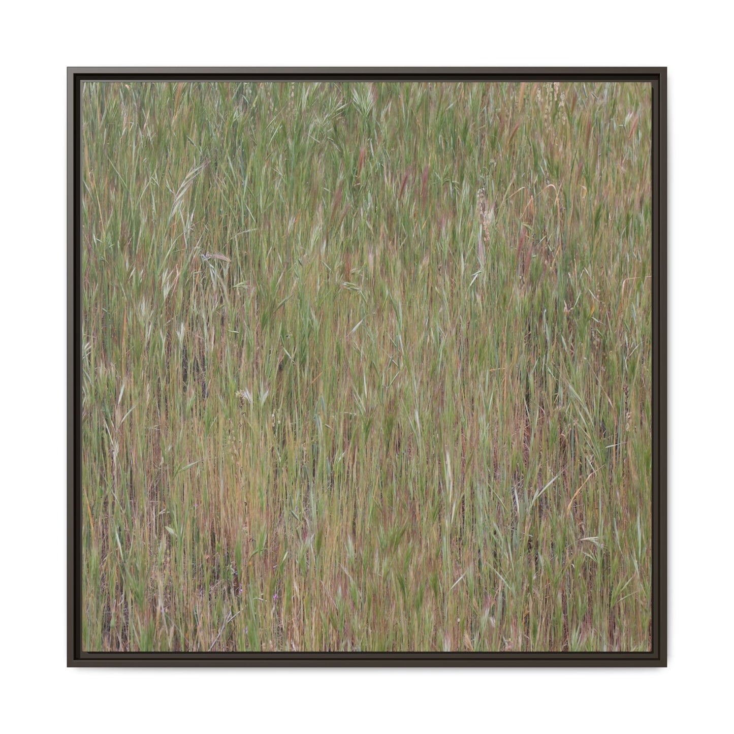 Field of Dreams - Unique Stretched Canvas Wall Art