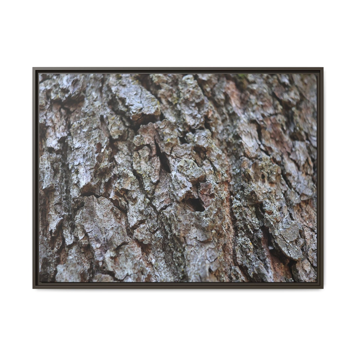 Woodland Canvas - Unique Stretched Canvas Wall Art