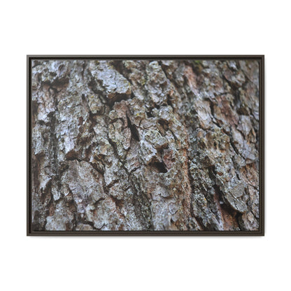 Woodland Canvas - Unique Stretched Canvas Wall Art
