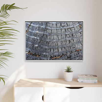 Charred Memories - Unique Stretched Canvas Wall Art