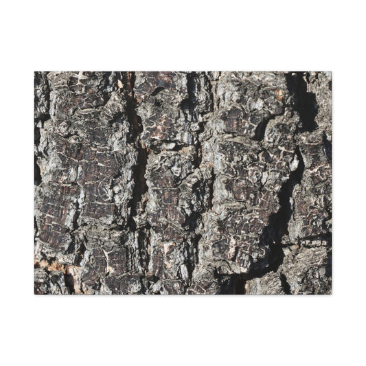 Cracked Skin of Earth - Unique Frameless Canvas Wall Art
