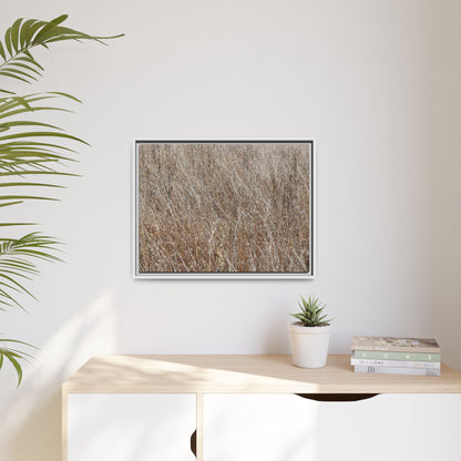 Dry Grass Symphony - Unique Stretched Canvas Wall Art - Art By Earth