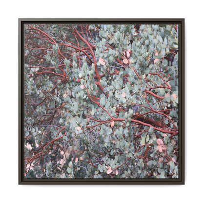 Whispers of Sage - Unique Stretched Canvas Wall Art