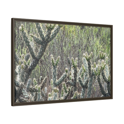 Prickly Paradise - Unique Stretched Canvas Wall Art