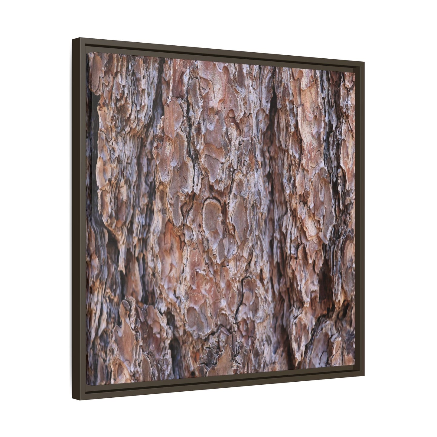 Woody Layers - Unique Stretched Canvas Wall Art