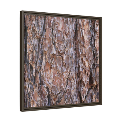 Woody Layers - Unique Stretched Canvas Wall Art