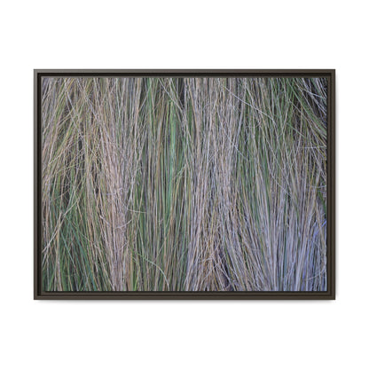 Whispers of Silver Grass - Unique Stretched Canvas Wall Art