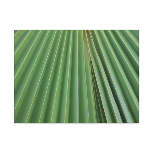 Fan of Green - Unique Frameless Canvas Wall Art