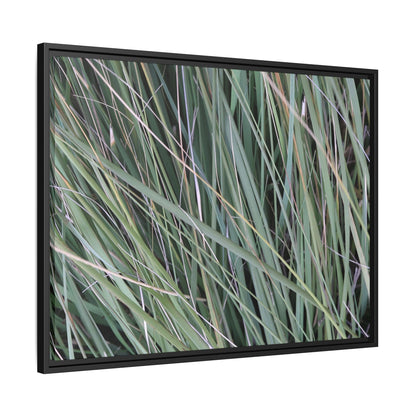Grassland Symphony - Unique Stretched Canvas Wall Art