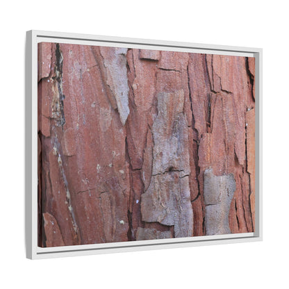 Peeling Bark - Unique Stretched Canvas Wall Art
