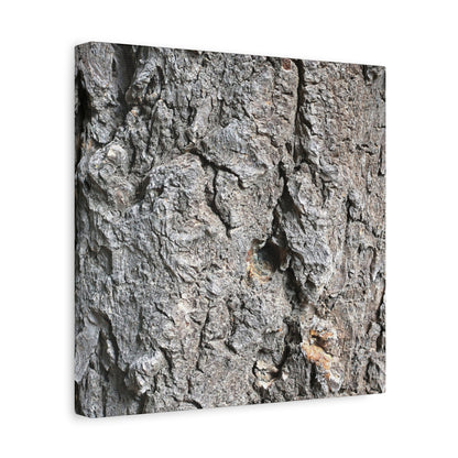 Elemental Canvas - Unique Frameless Canvas Wall Art