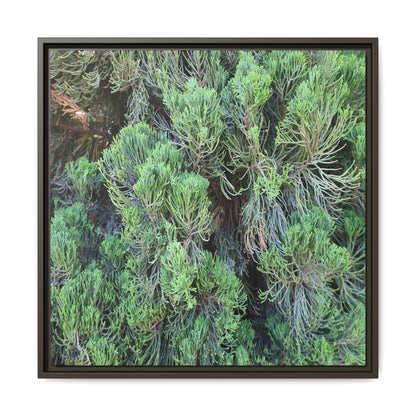 Verdant Whispers - Unique Stretched Canvas Wall Art