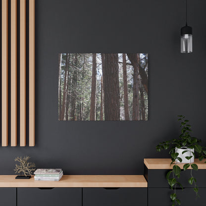 Vertical Sentinels - Unique Frameless Canvas Wall Art