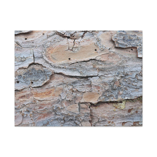 Textural Geology - Unique Frameless Canvas Wall Art
