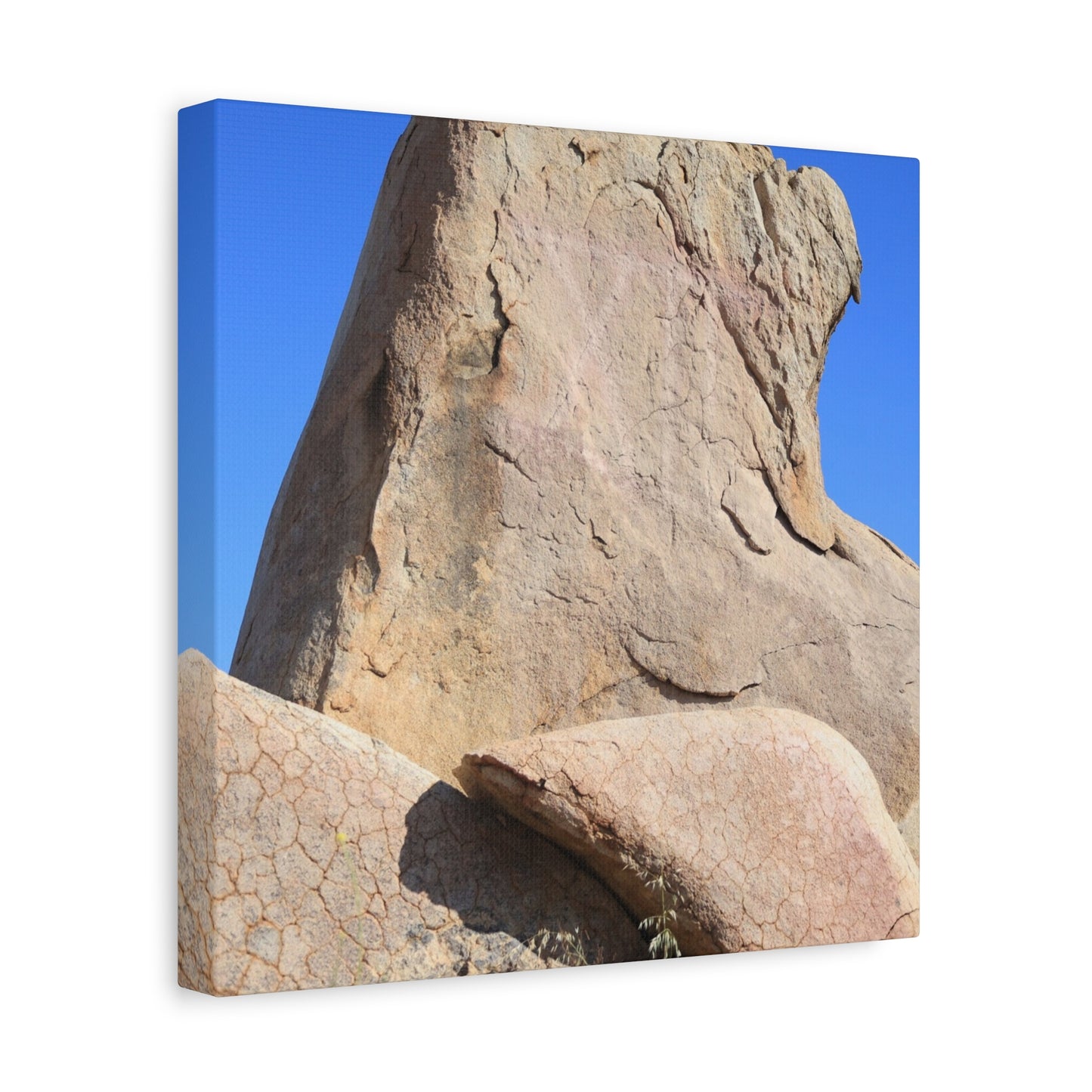 Boulder's Embrace - Unique Frameless Canvas Wall Art