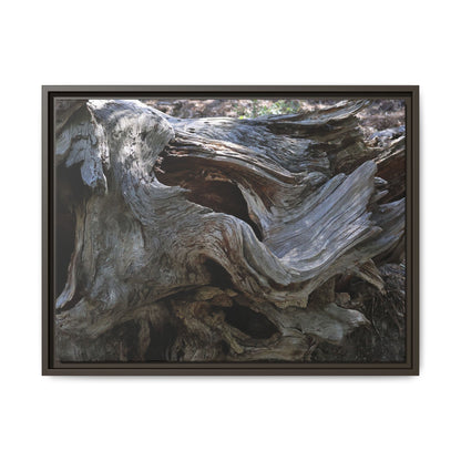 Twisted Memories - Unique Stretched Canvas Wall Art