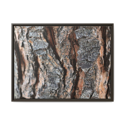 Fractured Nature - Unique Stretched Canvas Wall Art