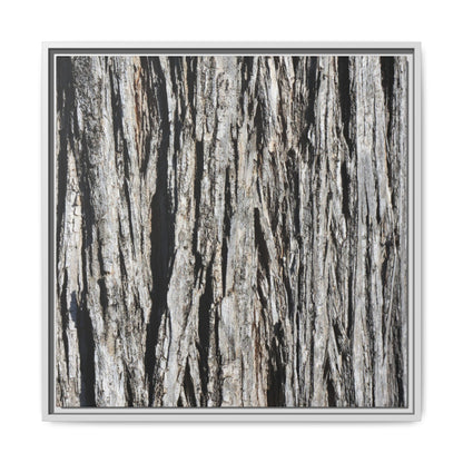 Nature's Abstract - Unique Stretched Canvas Wall Art