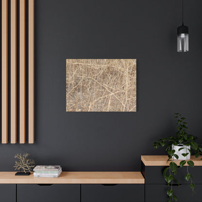 Dry Echoes - Unique Frameless Canvas Wall Art