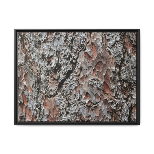 Bark Texture Symphony - Unique Stretched Canvas Wall Art