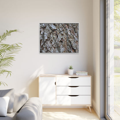 Woodland Canvas - Unique Stretched Canvas Wall Art