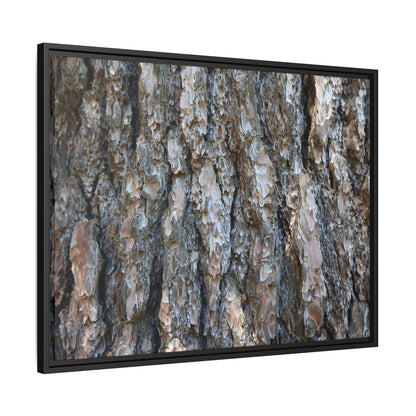 Bark Whispers - Unique Stretched Canvas Wall Art