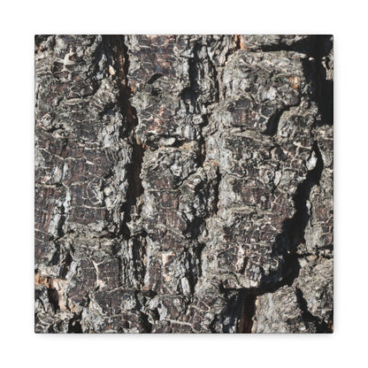 Cracked Skin of Earth - Unique Frameless Canvas Wall Art