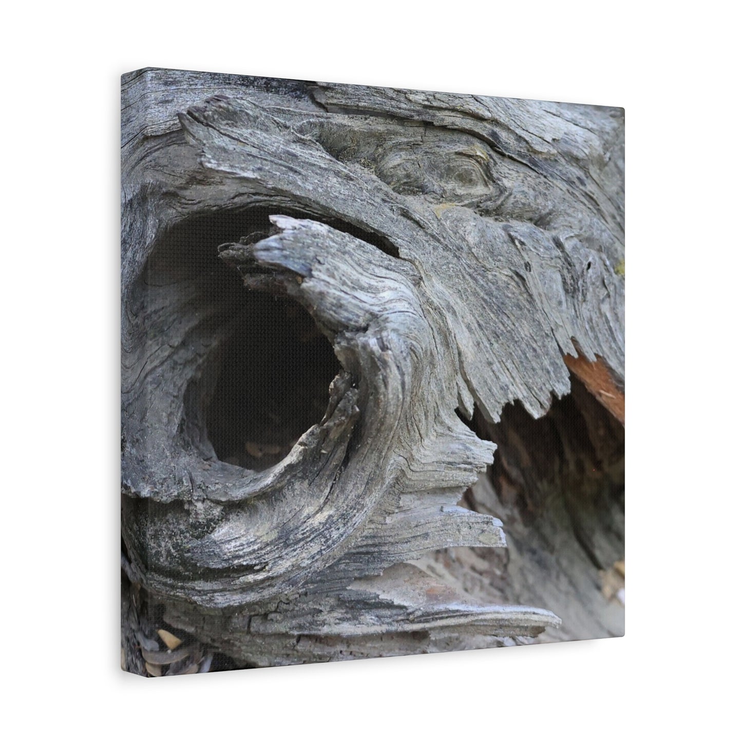 Twisted Whispers of the Forest Floor - Unique Frameless Canvas Wall Art