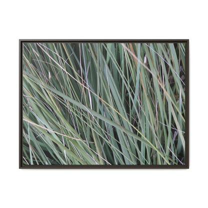 Grassland Symphony - Unique Stretched Canvas Wall Art