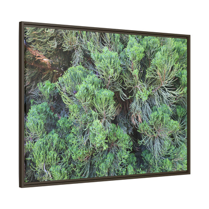 Verdant Whispers - Unique Stretched Canvas Wall Art
