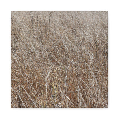 Whispers of Autumn - Unique Frameless Canvas Wall Art - Art By Earth