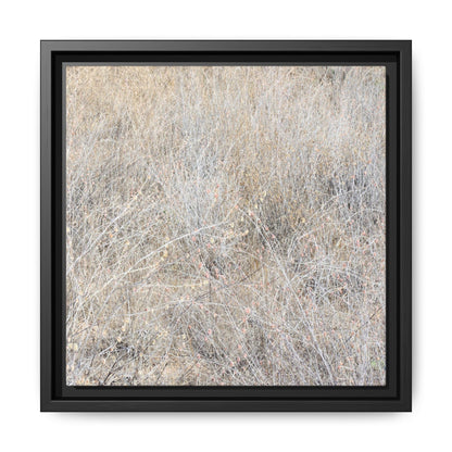 Whispers of Dry Grass - Unique Stretched Canvas Wall Art - Art By Earth
