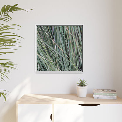 Grassland Symphony - Unique Stretched Canvas Wall Art