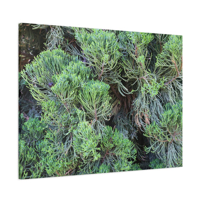 Green Labyrinth - Unique Frameless Canvas Wall Art