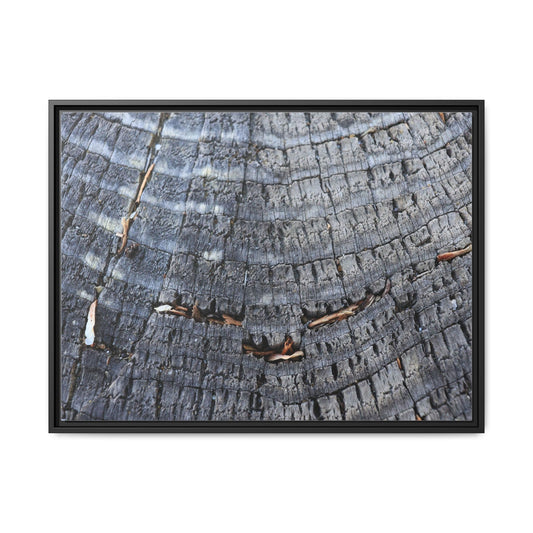 Charred Circles - Unique Poster Wall Art