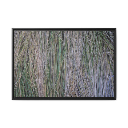 Whispers of Silver Grass - Unique Stretched Canvas Wall Art