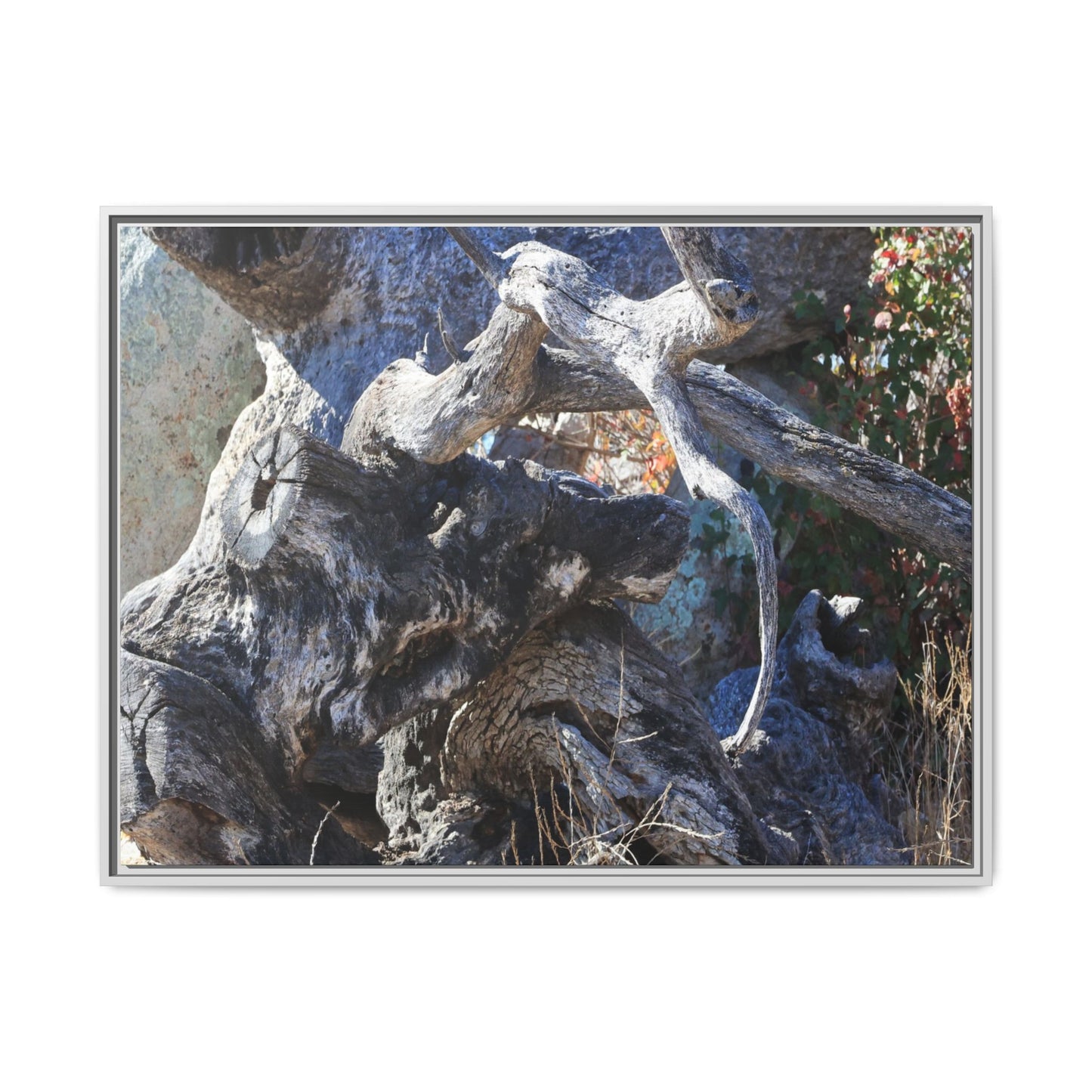 Resilient Roots - Unique Stretched Canvas Wall Art - Art By Earth