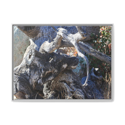 Resilient Roots - Unique Stretched Canvas Wall Art - Art By Earth