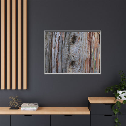 Knotty Nature - Unique Stretched Canvas Wall Art