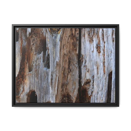 Decaying Splendor - Unique Stretched Canvas Wall Art