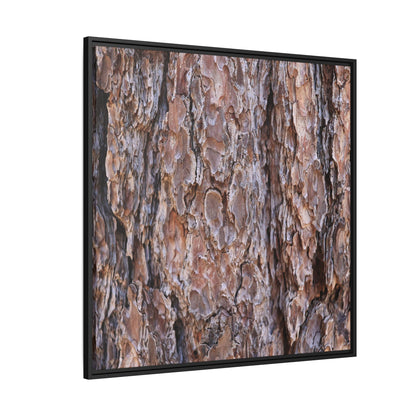 Woody Layers - Unique Stretched Canvas Wall Art