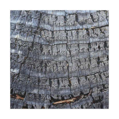 Whispers of Age - Unique Frameless Canvas Wall Art