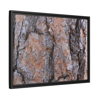 Tree Skin Symphony - Unique Stretched Canvas Wall Art