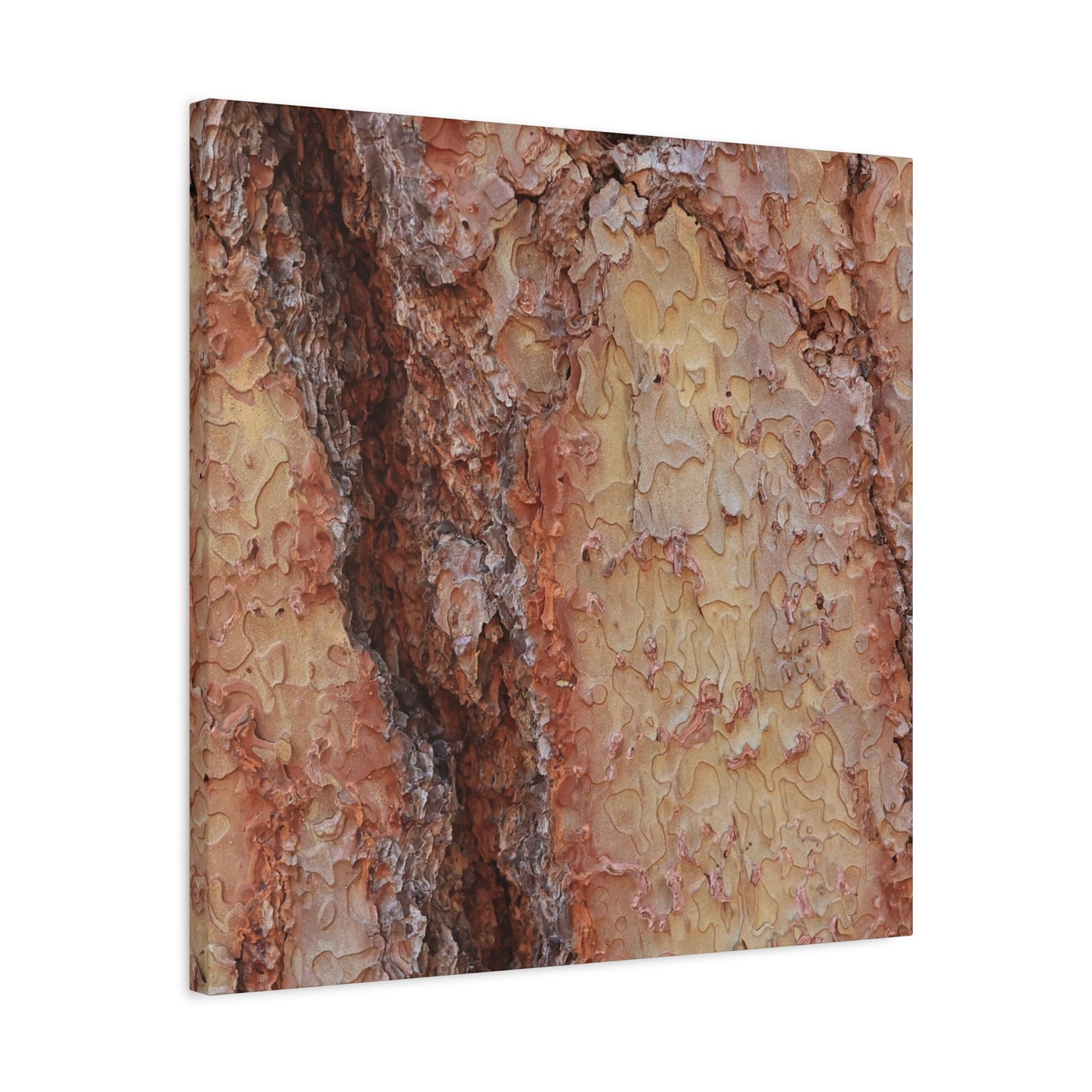 Arboreal Secrets - Unique Frameless Canvas Wall Art - Art By Earth