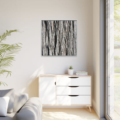 Bark Lines - Unique Stretched Canvas Wall Art