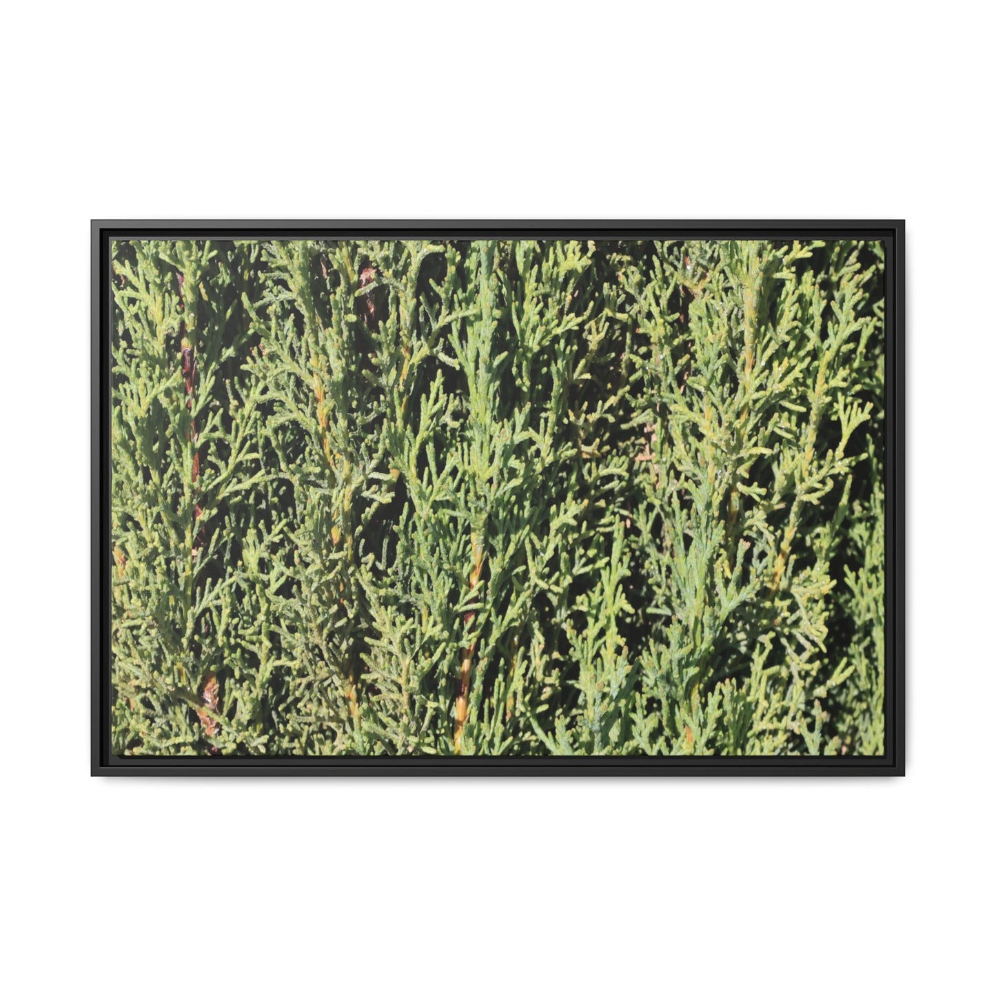 Emerald Labyrinth - Unique Stretched Canvas Wall Art - Art By Earth